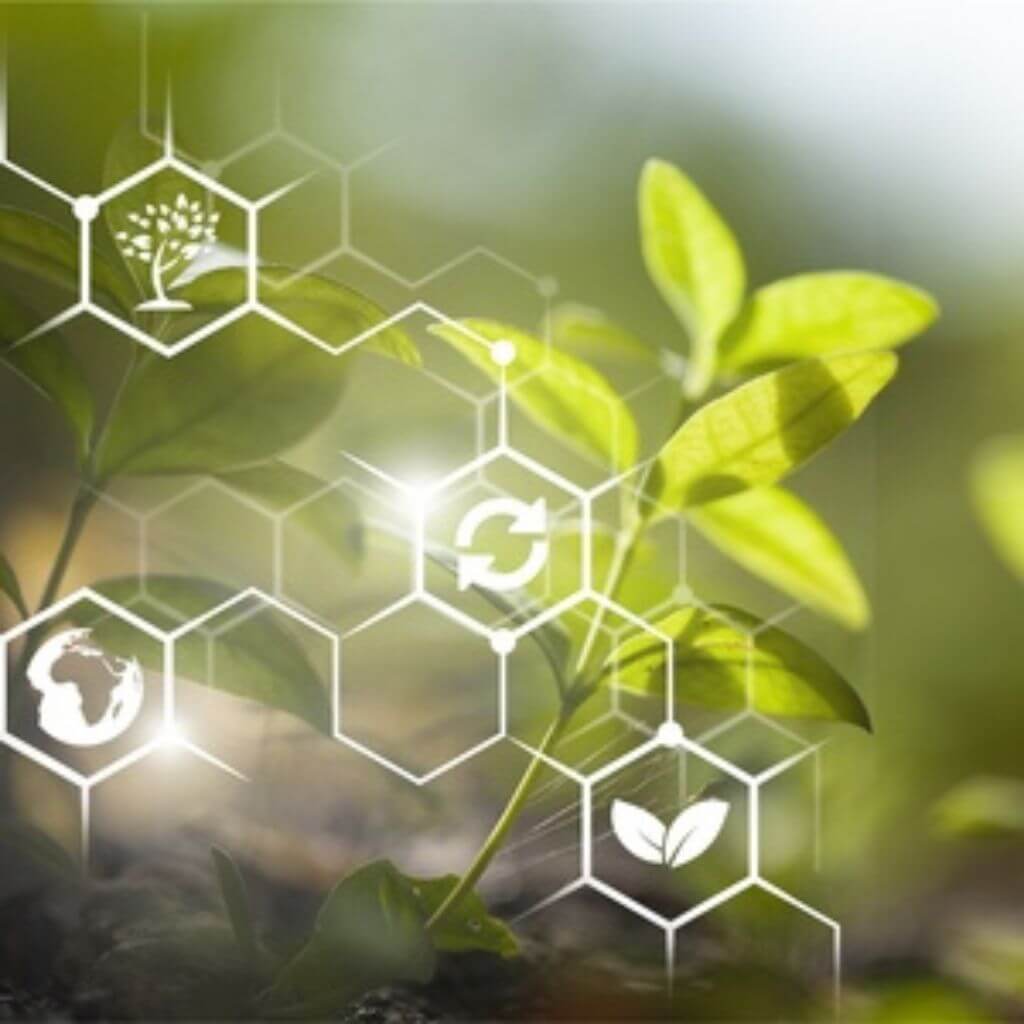 Adjuvantes